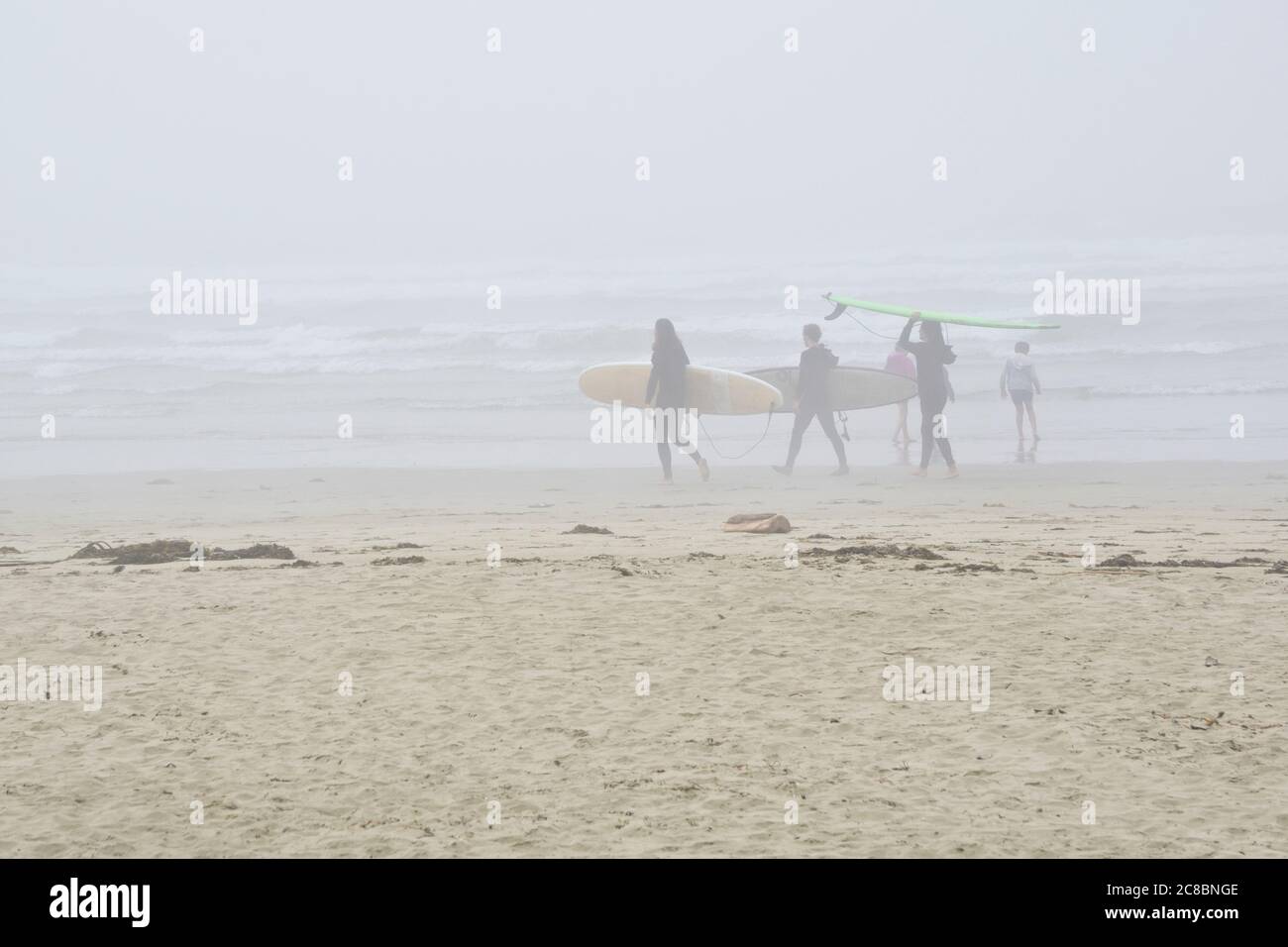 Eine Gruppe junger Leute, die an einem nebligen Tag am Wickaninnish Beach am Long Beach an der Westküste von Vancouver Island in Kanada surfen. Stockfoto