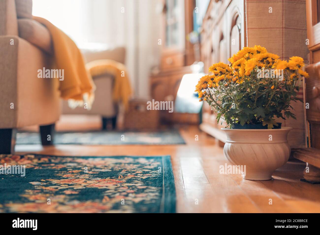 Gemütliche Wohnzimmereinrichtung inspiriert von Herbstfarben. Sonnige gemütliche Wohnzimmer Interieur, Detail Stockfoto