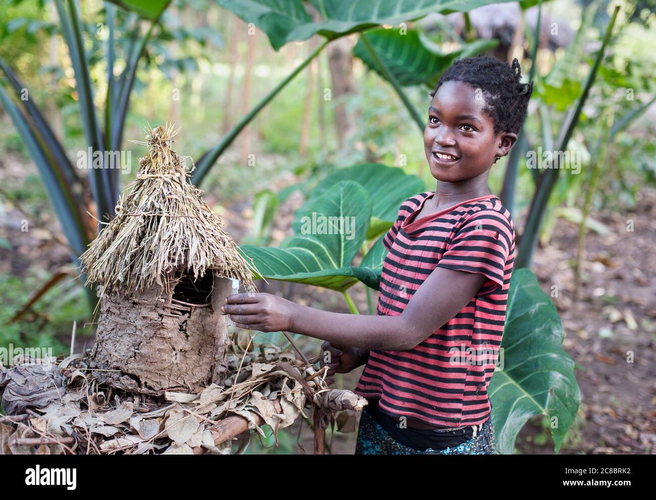 Jinka - Äthiopien - Afrika, Januar 03. 2014: Jinka Mädchen Fütterung Vögel, Äthiopien, Afrika Stockfoto