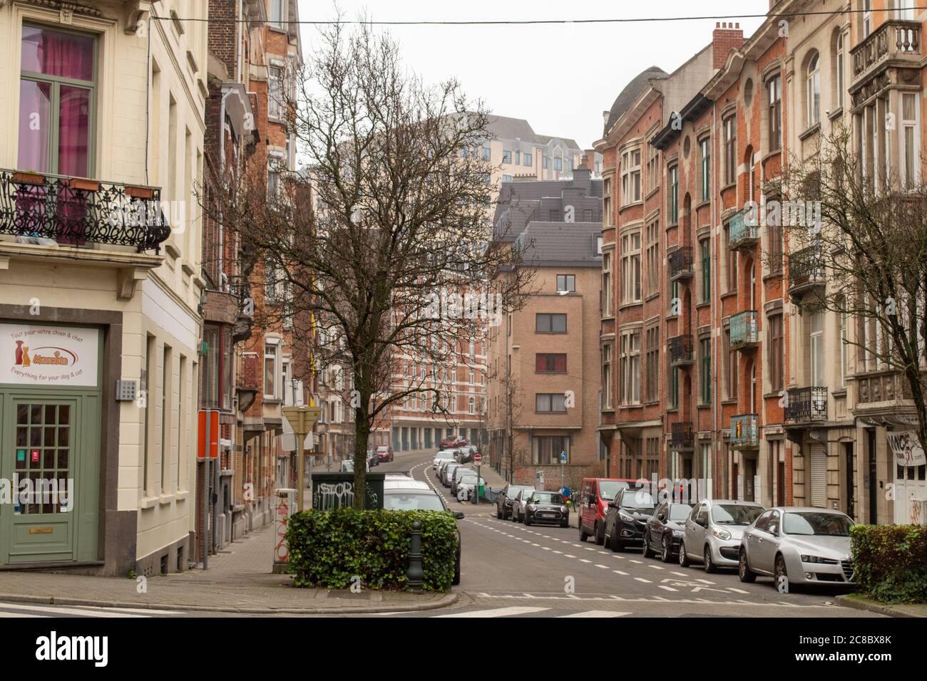 BRÜSSEL, BELGIEN - 29. DEZEMBER 2018: Spaziergang im Stadtteil Etterbeek am bewölkten Wintertag in Brüssel am 29. Dezember 2018. Stockfoto