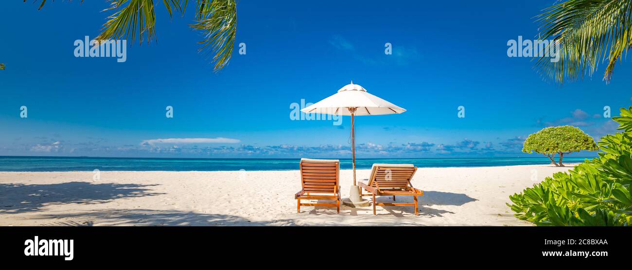 Wunderschönes tropisches Strandbanner. Weißer Sand und Kokospalmen Reise Tourismus breites Panorama Hintergrund Konzept. Tolle Strandlandschaft. Farbe für Aufboostup Stockfoto
