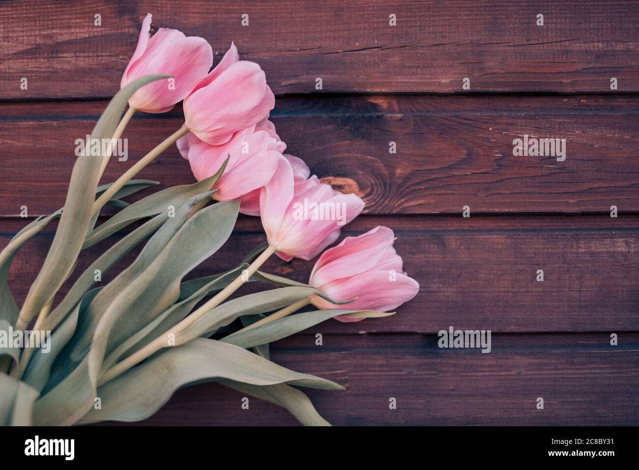 Bouquet von rosa Tulpen auf braunem Holzhintergrund. Draufsicht, Kopierbereich. Tulpenreihe auf Holzhintergrund mit Platz für Nachricht. Muttertag Stockfoto