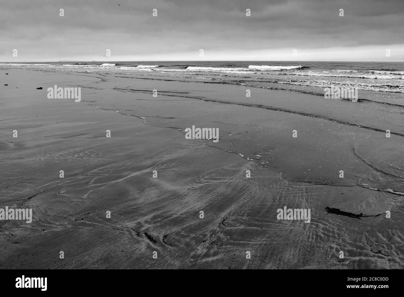 Die Nordsee von Bamburgh Sands, Northumberland, England, Großbritannien bei Ebbe, an einem trüben, bewölkten Tag. Schwarz-Weiß-Version Stockfoto
