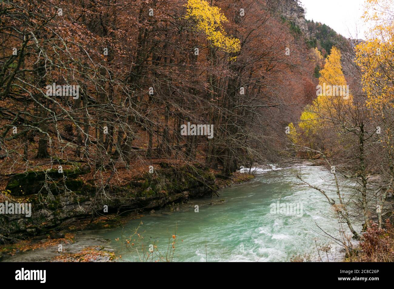 Breiter Fluss mit genügend Strömung zwischen Bergen im Herbst. Stockfoto