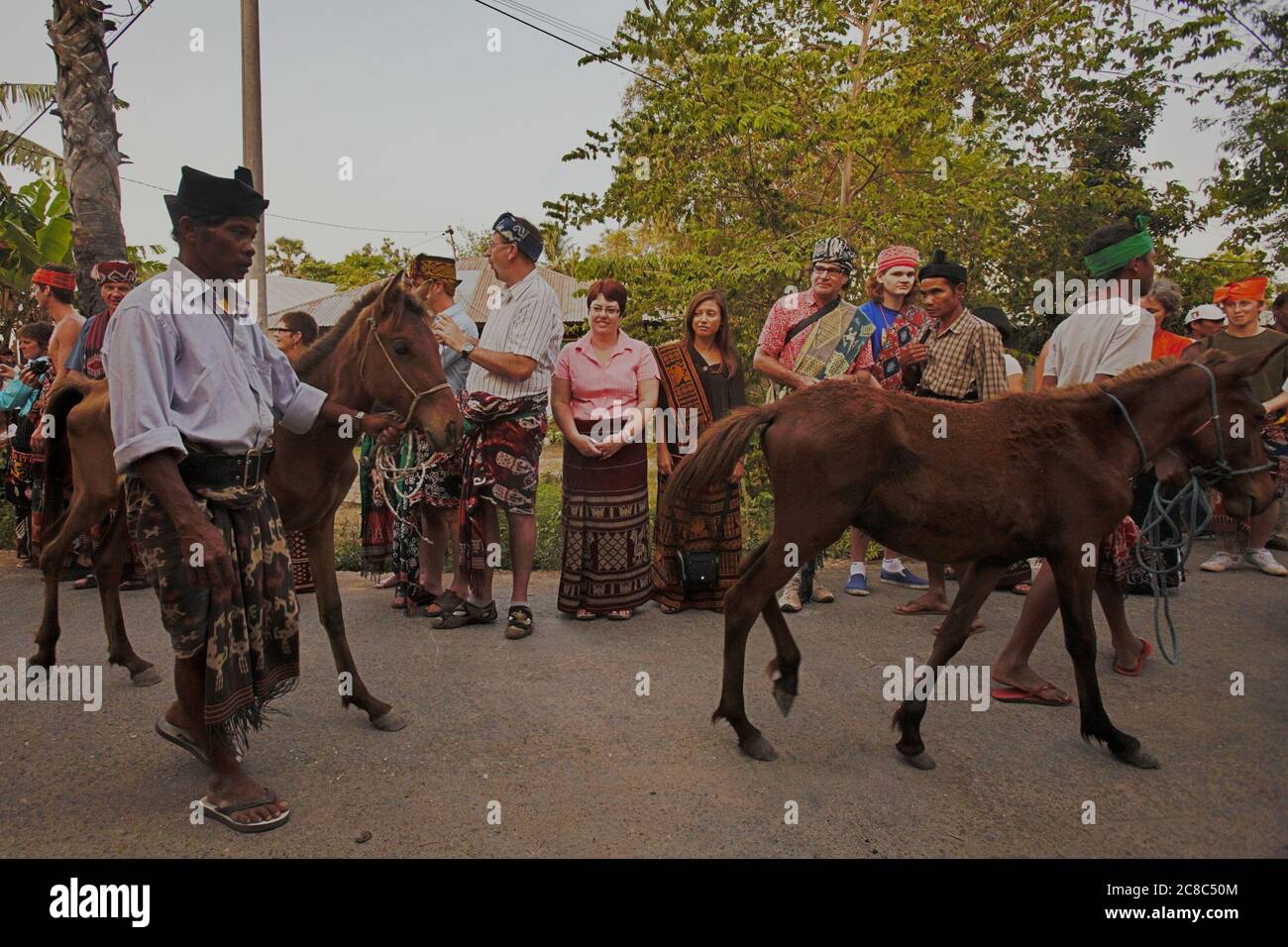 Umbu Ndjurumannas Verwandte bringen Ponys zu Sarah Hobgens Haus als "belis" (traditionelle Bezeichnung für Heiratsantrag Geschenk) vor der Prozession der sumbanesischen traditionellen Heiratsantrag. Archivfoto. Bericht (2011). Stockfoto