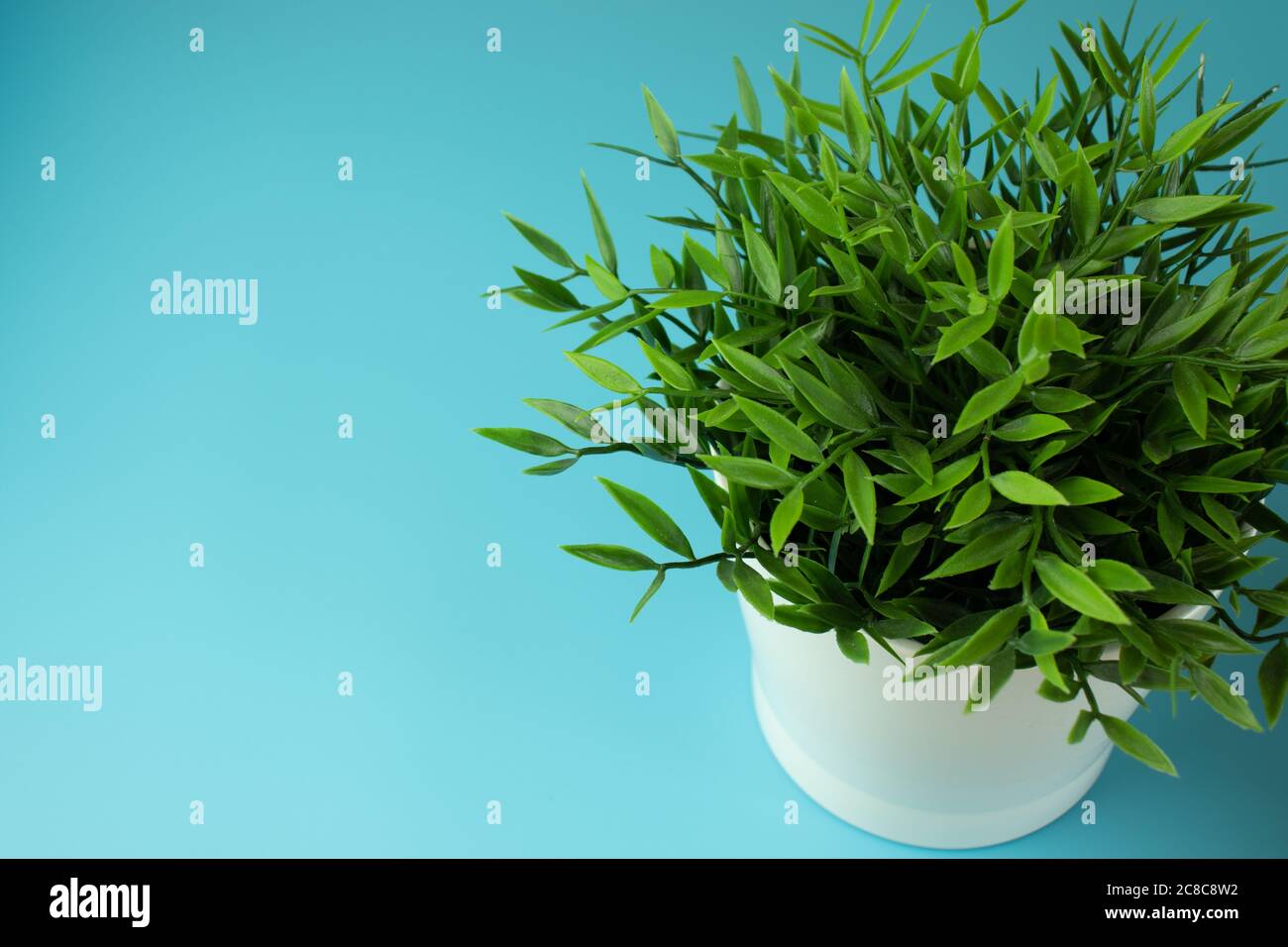 Schreibtisch mit blauem Hintergrund. Bürodesign. Speicherplatz kopieren Stockfoto