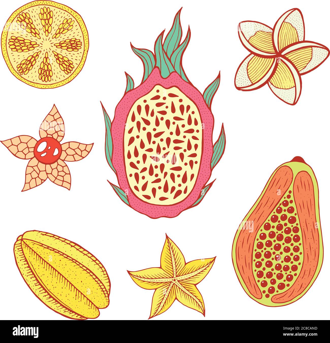Tropische Frucht Stock Vektorgrafiken kaufen   Seite 20   Alamy Idées