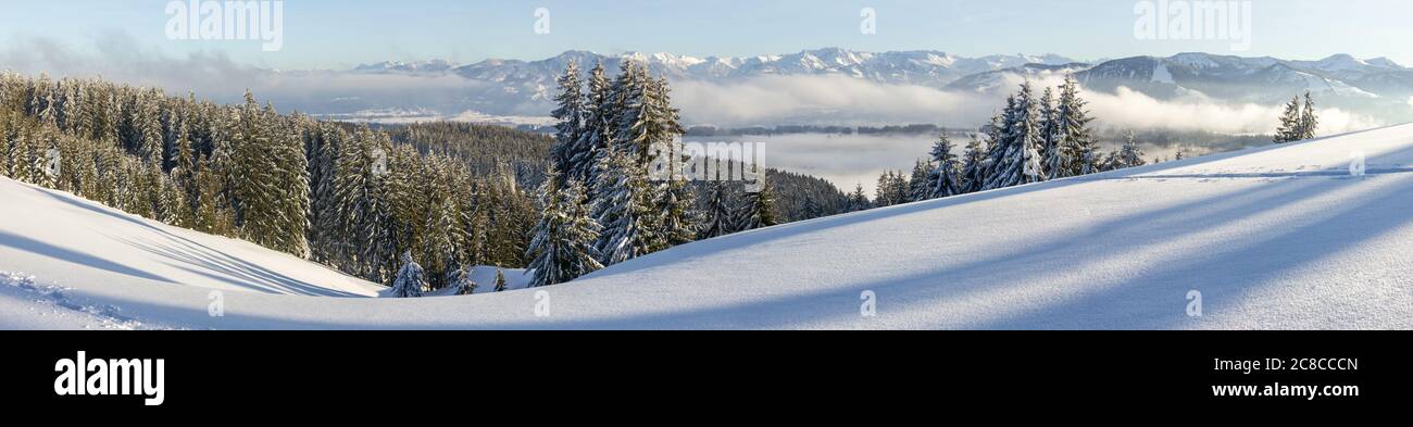 Unglaublicher Panoramablick vom Snow Mountain mit Wald bis zur verschneiten Bergkette über der nebligen Wolkenschicht. Meer der Wolken. Hauchenberg bei Diepolz in Stockfoto