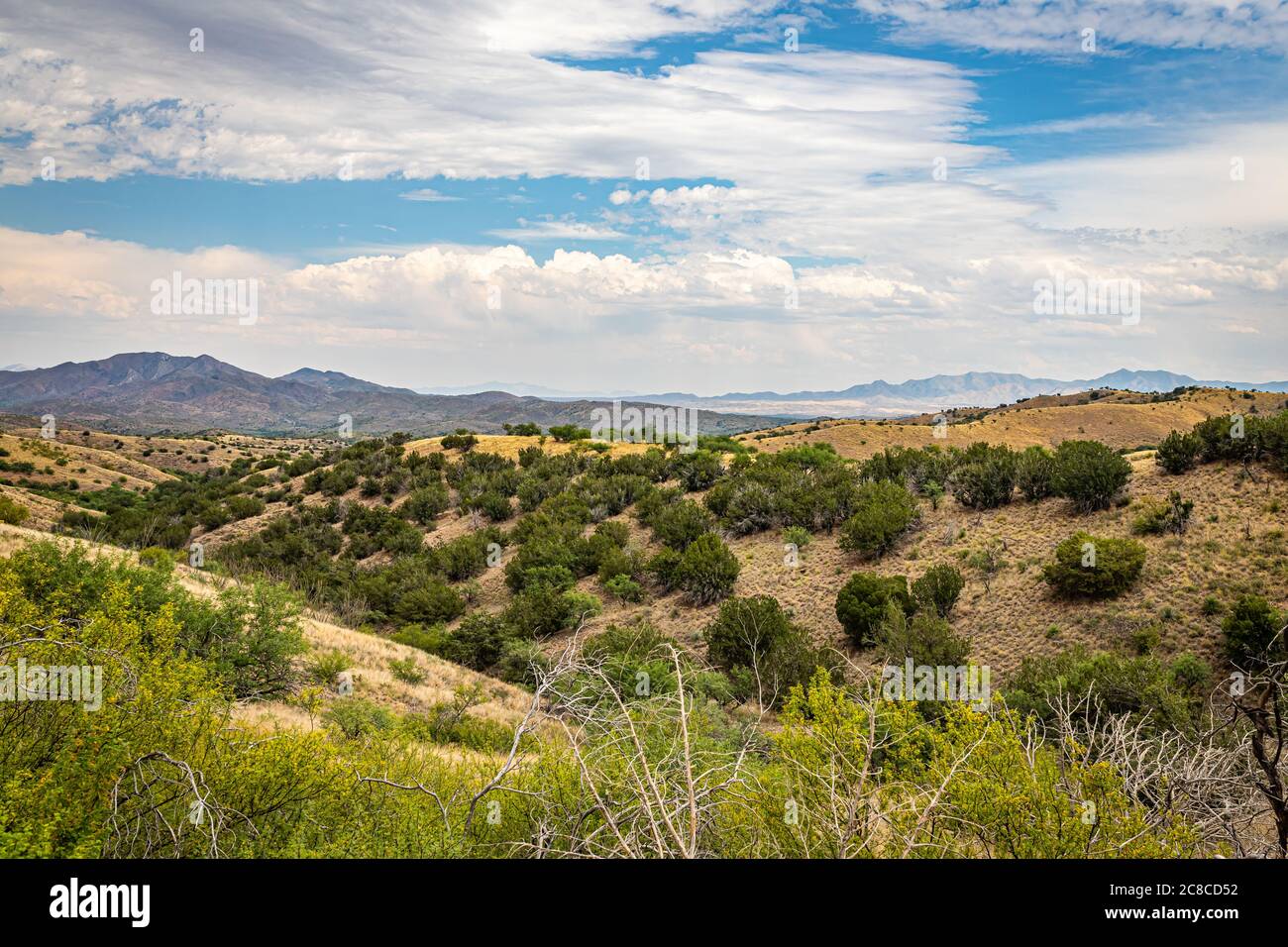 Die Santa Rita Berge, etwa 40 Meilen südöstlich von Tucson, Arizona, sind die Heimat des einzigen bekannten wilden jaguar in den Vereinigten Staaten. Stockfoto