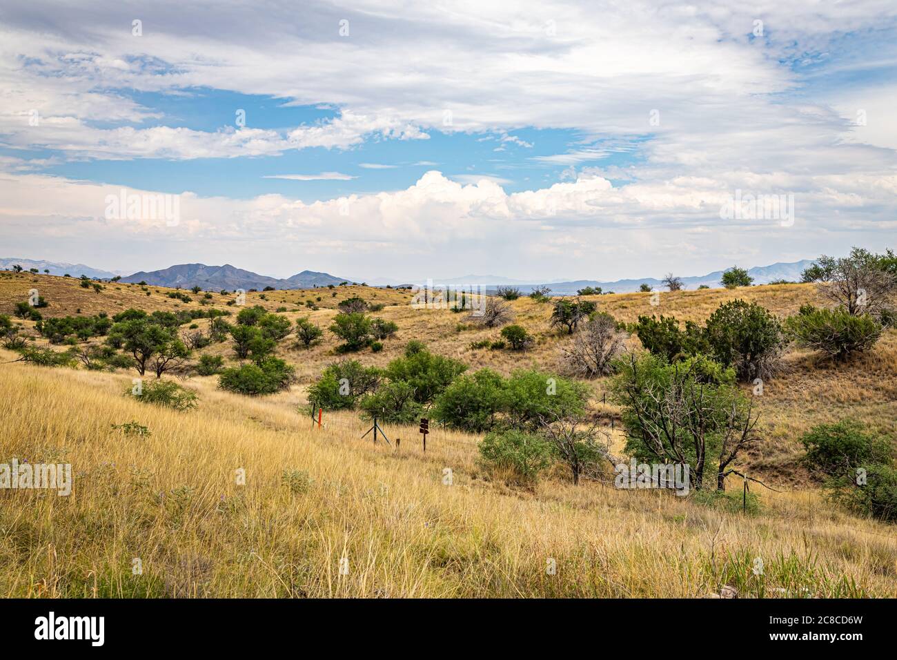 Die Santa Rita Berge, etwa 40 Meilen südöstlich von Tucson, Arizona, sind die Heimat des einzigen bekannten wilden jaguar in den Vereinigten Staaten. Stockfoto