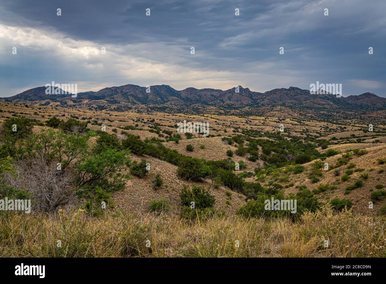 Die Santa Rita Berge, etwa 40 Meilen südöstlich von Tucson, Arizona, sind die Heimat des einzigen bekannten wilden jaguar in den Vereinigten Staaten. Stockfoto