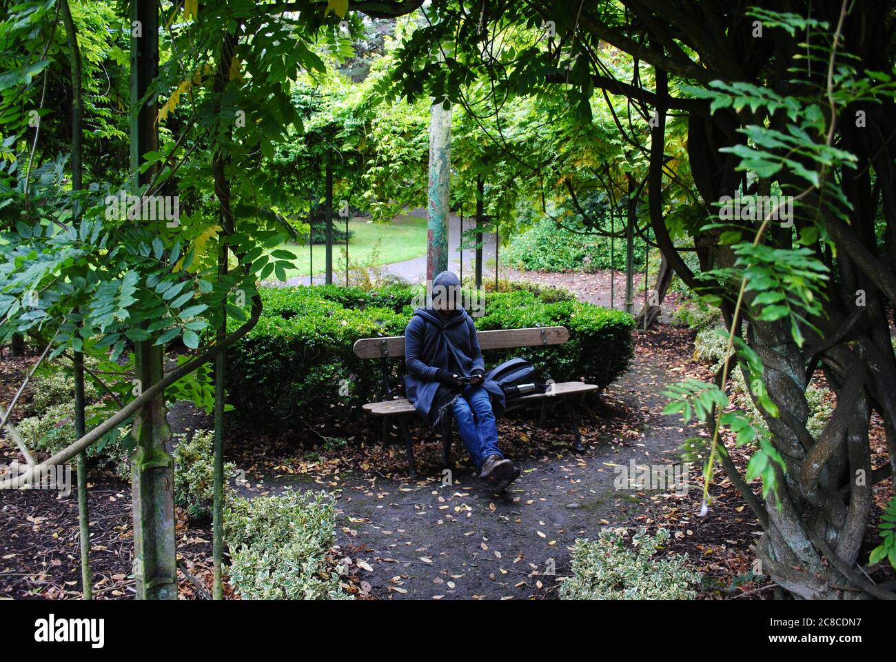 Mann beim Lesen in den Botanischen Gärten. Stockfoto