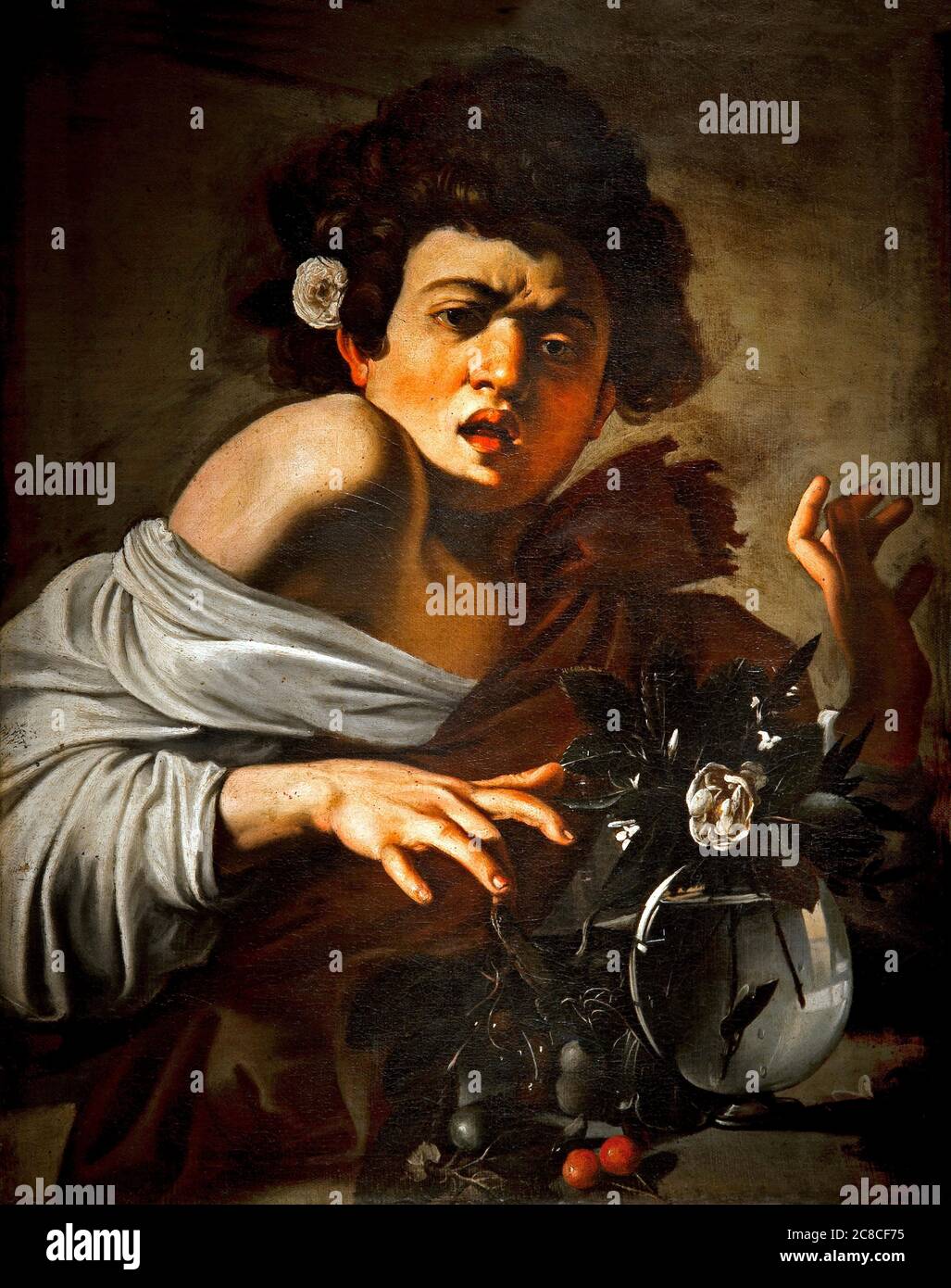 Caravaggio Michelangelo Merisi, Mailand 1571 - Porto Ercole 1610 ‘Junge gebissen von einer Eidechse’ 1593-1594, Öl auf Leinwand cm 66 x 50. Stockfoto