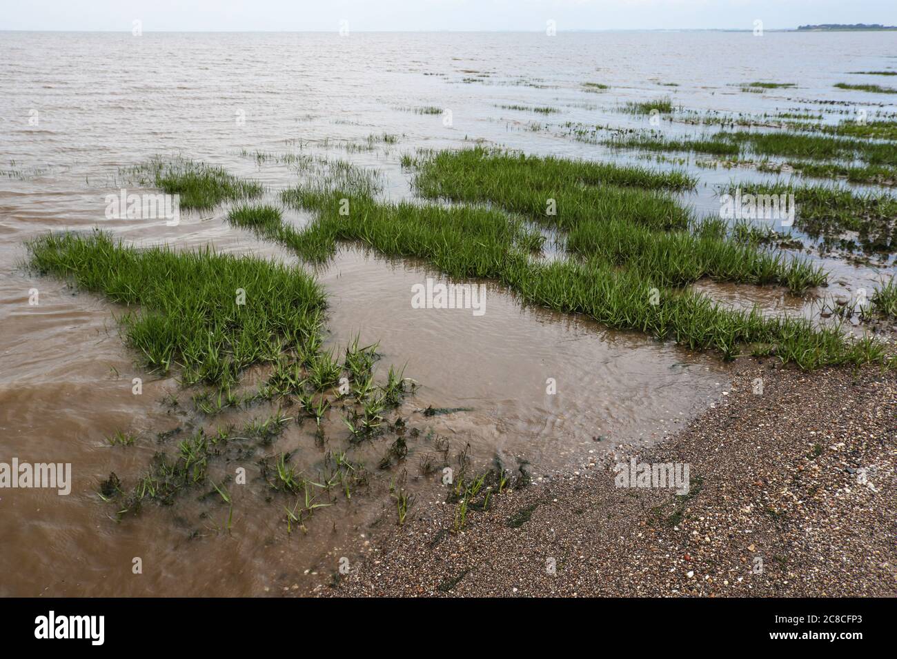 Bilder von Küstenerosion und Siedlungen entlang der Küste des Ostens Reiten von Yorkshire von Aldbrough nach Süden bis zur Spitze von Spurn Head. Stockfoto