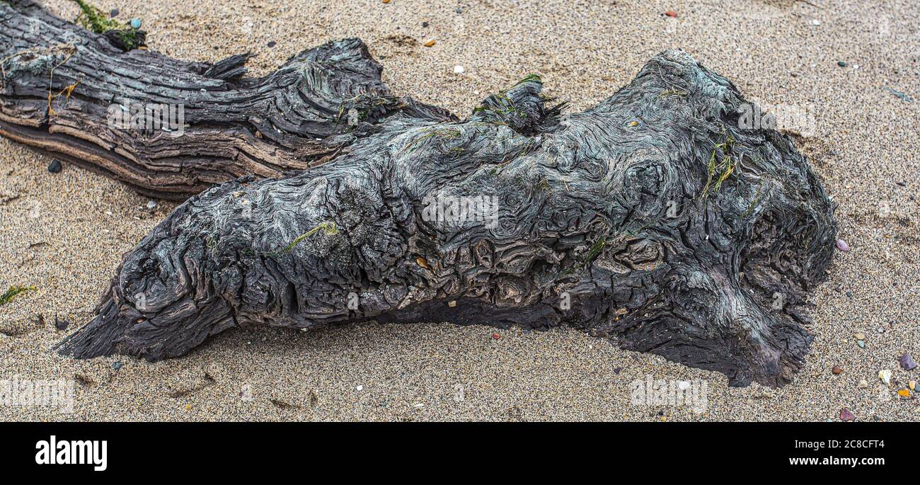 Bilder von Küstenerosion und Siedlungen entlang der Küste des Ostens Reiten von Yorkshire von Aldbrough nach Süden bis zur Spitze von Spurn Head. Stockfoto