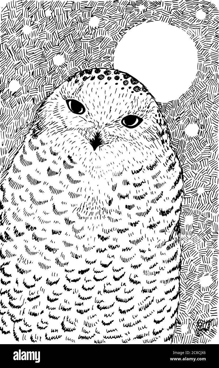 Weiße Polareule - Tinte Grafik Zeichnung mit Wildtieren. Vogel und Mo Stock Vektor
