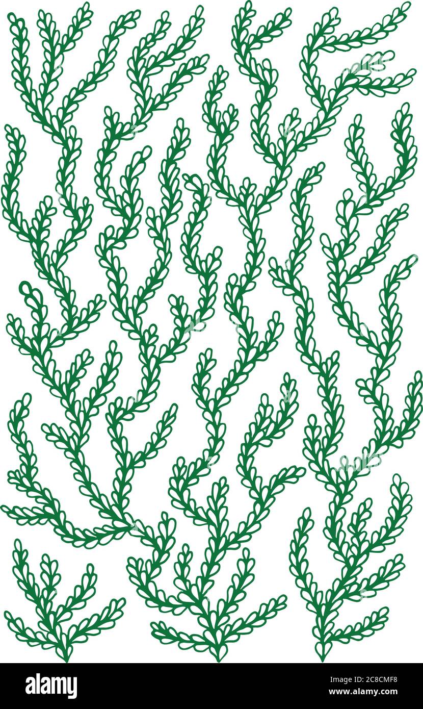 Doodle Blätter auf den Zweigen - Hand gezeichnete Doodle Grafik Linie d Stock Vektor