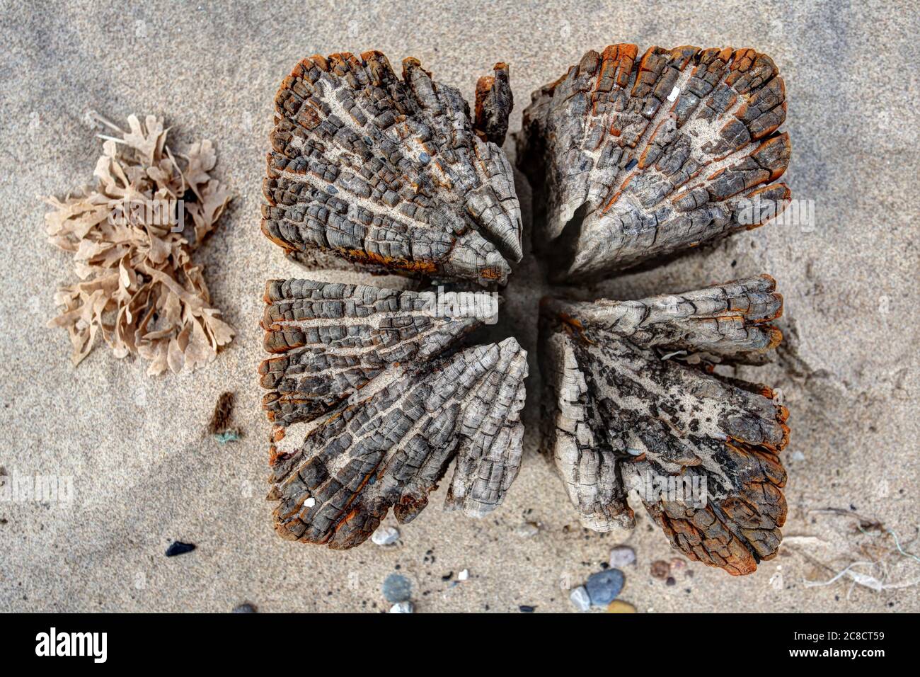 Bilder von Küstenerosion und Siedlungen entlang der Küste des Ostens Reiten von Yorkshire von Aldbrough nach Süden bis zur Spitze von Spurn Head. Stockfoto