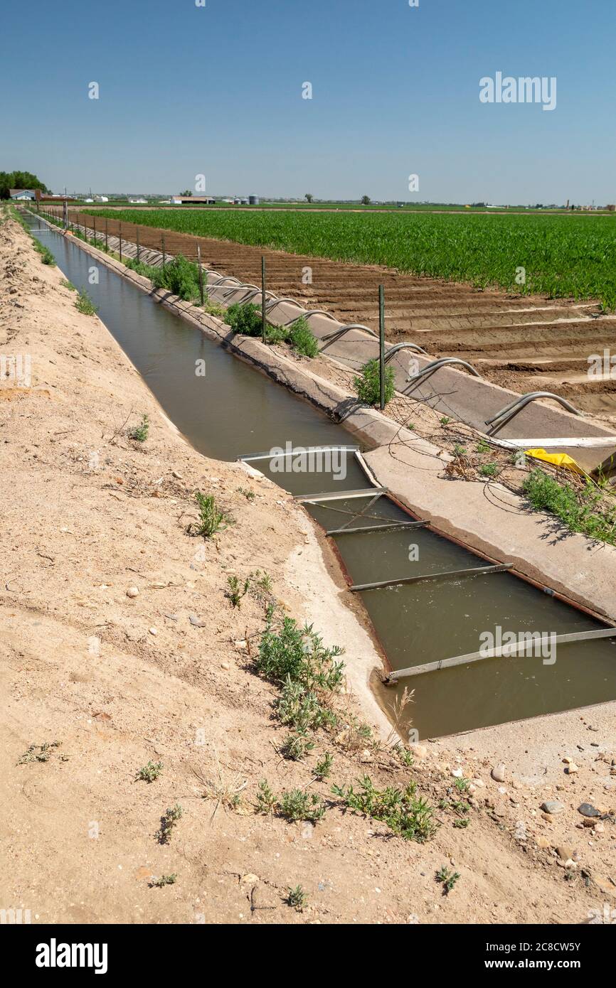 Kersey, Colorado - ein Bewässerungsgraben im östlichen Colorado Weld County. Das Gebiet bekommt nur 15 Zoll Regen pro Jahr, so dass Wasser für die Bewässerung di Stockfoto