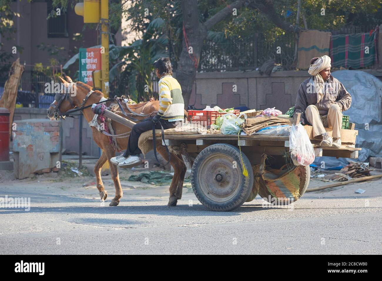 Pferd Und Wagen In Den Straßen Von Delhi, Indien. Stockfoto