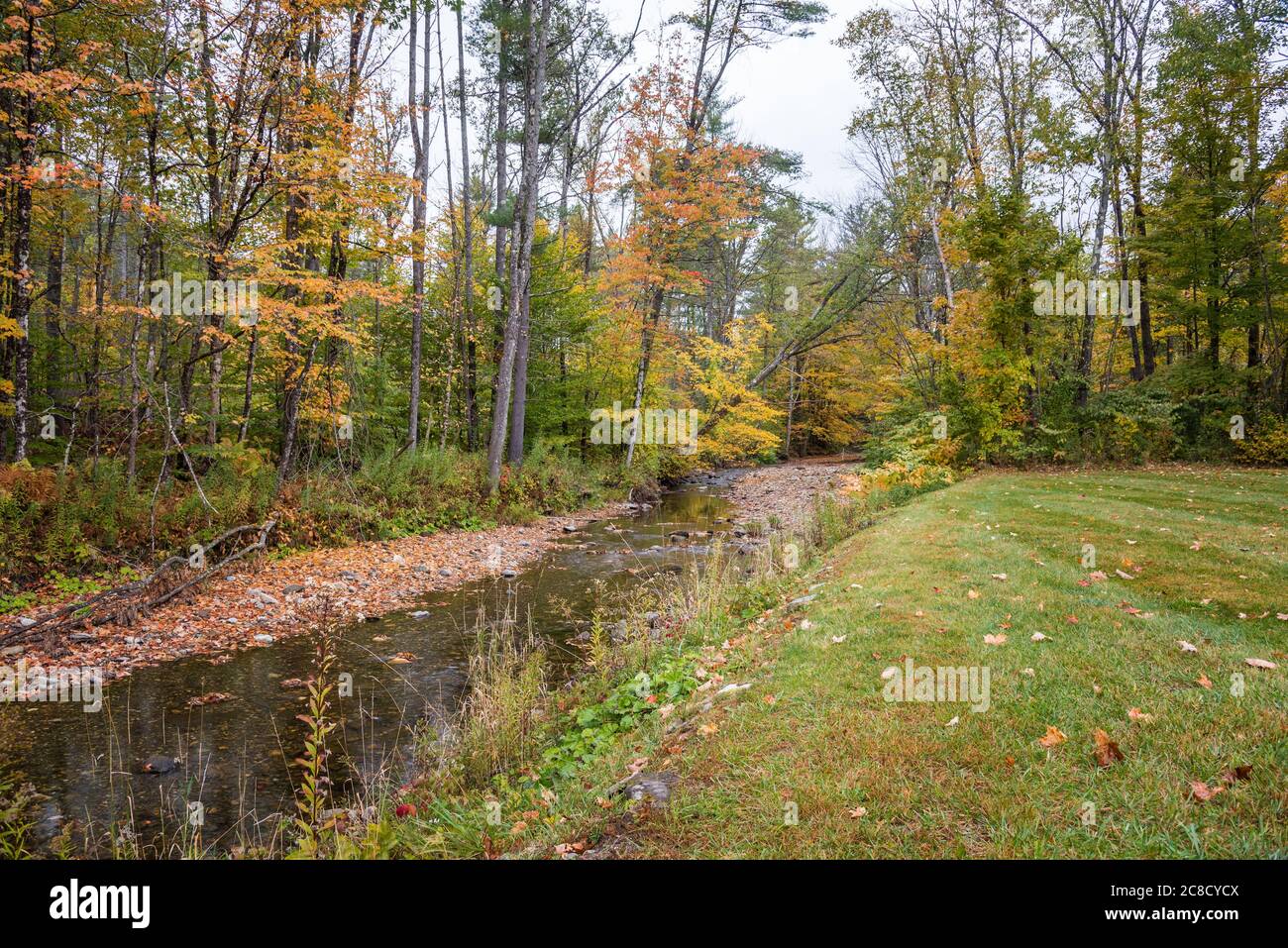 Creek durch einen Laubwald an einem bewölkten Herbsttag. Herbstfarben. Stockfoto