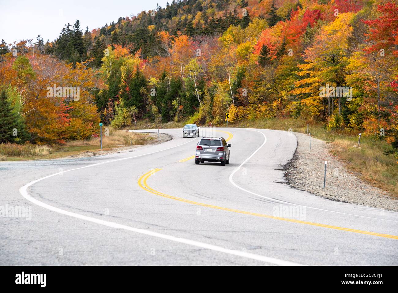 Kurvenreiche Bergstraße im Herbst. Wunderschöne Herbstfarben. Stockfoto