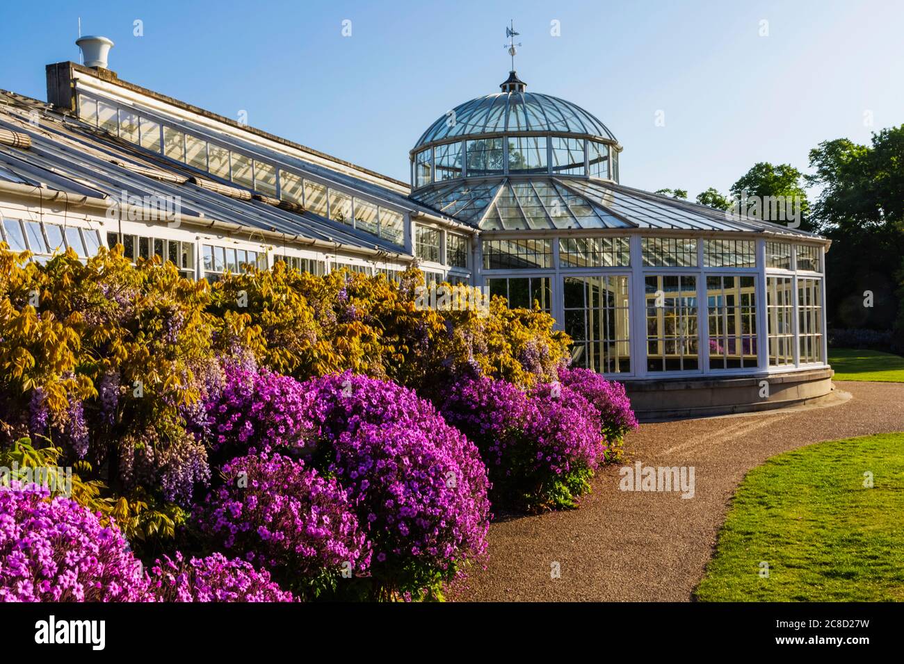 England, London, Chiswick, Chiswick House and Gardens, The Conservatory Stockfoto