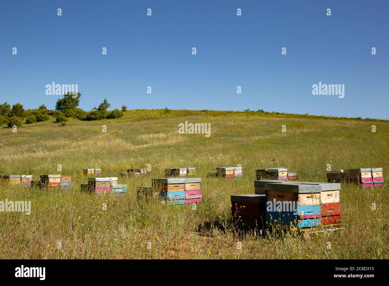 Bienenstöcke unter blauem Himmel Stockfoto