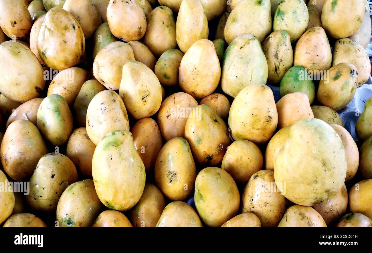 Haufen von frischen reifen gelben Mangos auf dem Markt zu verkaufen Stockfoto