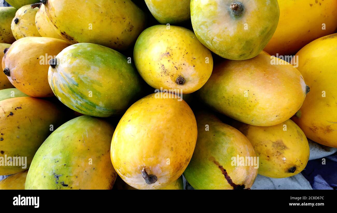 Haufen von frischen reifen gelben Mangos auf dem Markt zu verkaufen Stockfoto