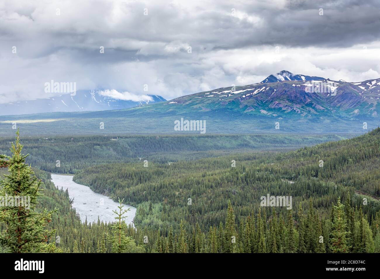 Eisenbahn zum Denali National Park, Alaska mit beeindruckenden Bergen Stockfoto