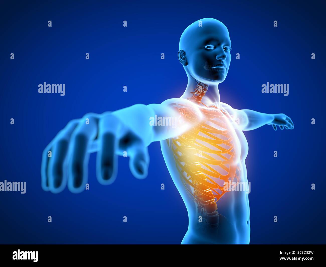 3d-gerendert medizinisch genaue Darstellung eines Mannes mit einer schmerzhaften Brust. Stockfoto