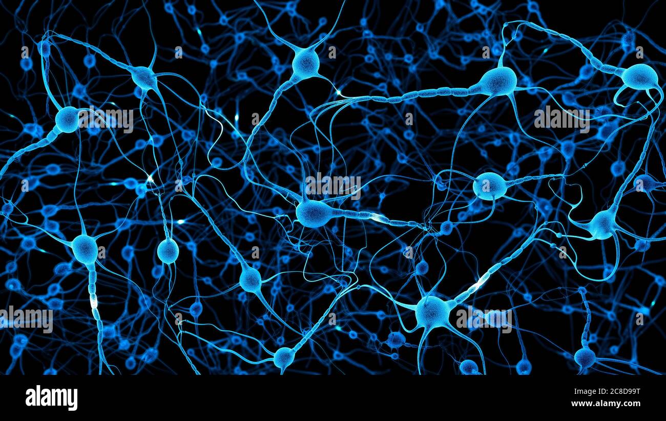 Neuronen im menschlichen Gehirn, 3D-Rendering Stockfoto