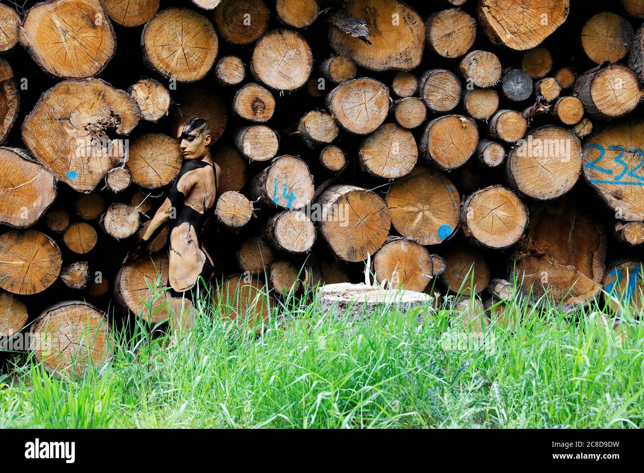 Naturkunst: Holzstapel-Bodypainting und Fotoshooting mit Modell Rose im Osterwald bei Salzhemmendorf am 20. Juli 2020 - Bodypainting Künstler: Jörg Düsterwald Stockfoto