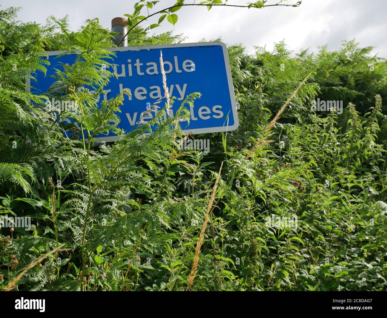 Ungeeignet für schwere Fahrzeuge Zeichen von Heckenwachstum Vegetation überwuchert Stockfoto