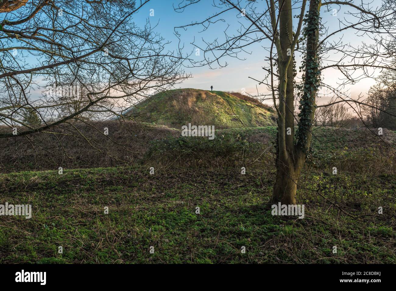Thetford Castle, Blick auf die motte aus dem 11. Jahrhundert - oder riesigen Hügel - auf dem einst ein normannisches Schloss stand in Castle Park, Thetford, Norfolk, England, Großbritannien Stockfoto