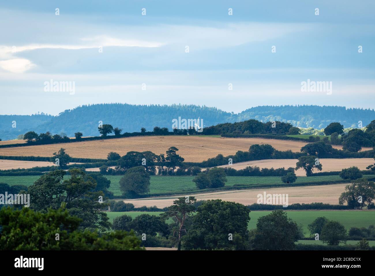 Sommersonnenlicht, das eine weiße Windturbine in der englischen Landschaft hervorhebt. Stockfoto