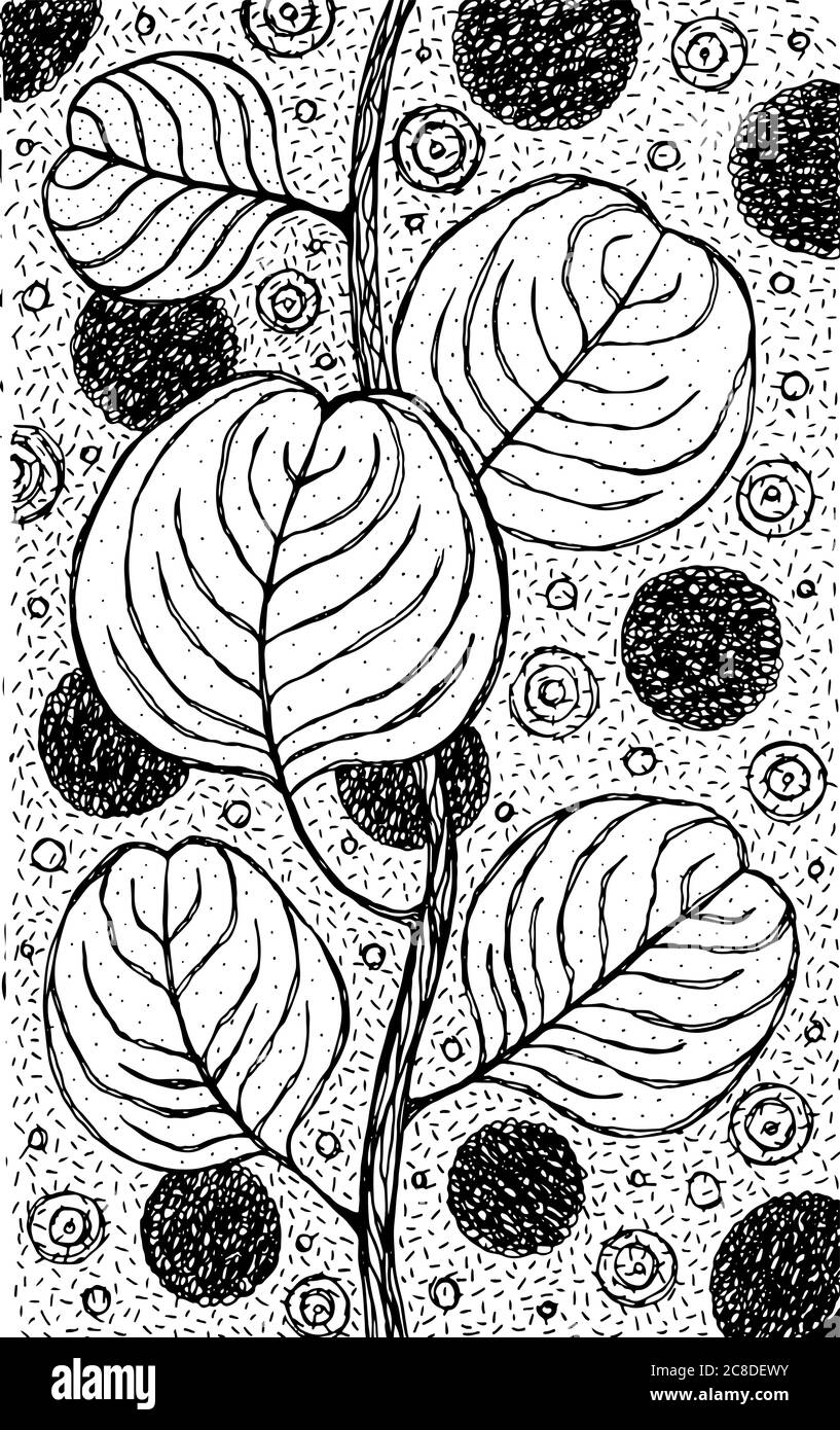 Eukalyptus - Blumendarstellung. Schwarz-weiße Tinte Blumenzeichnung. Bild für Erwachsene. Strichvorlagen. Vektorgrafiken. Stock Vektor