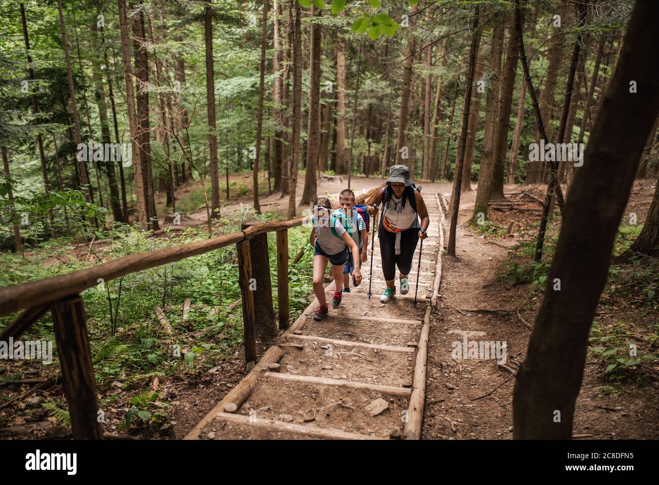 Vielfältige Gruppe von Kindern und Menschen wandern gemeinsam steile Treppen auf einem Weg im Wald hinauf Stockfoto