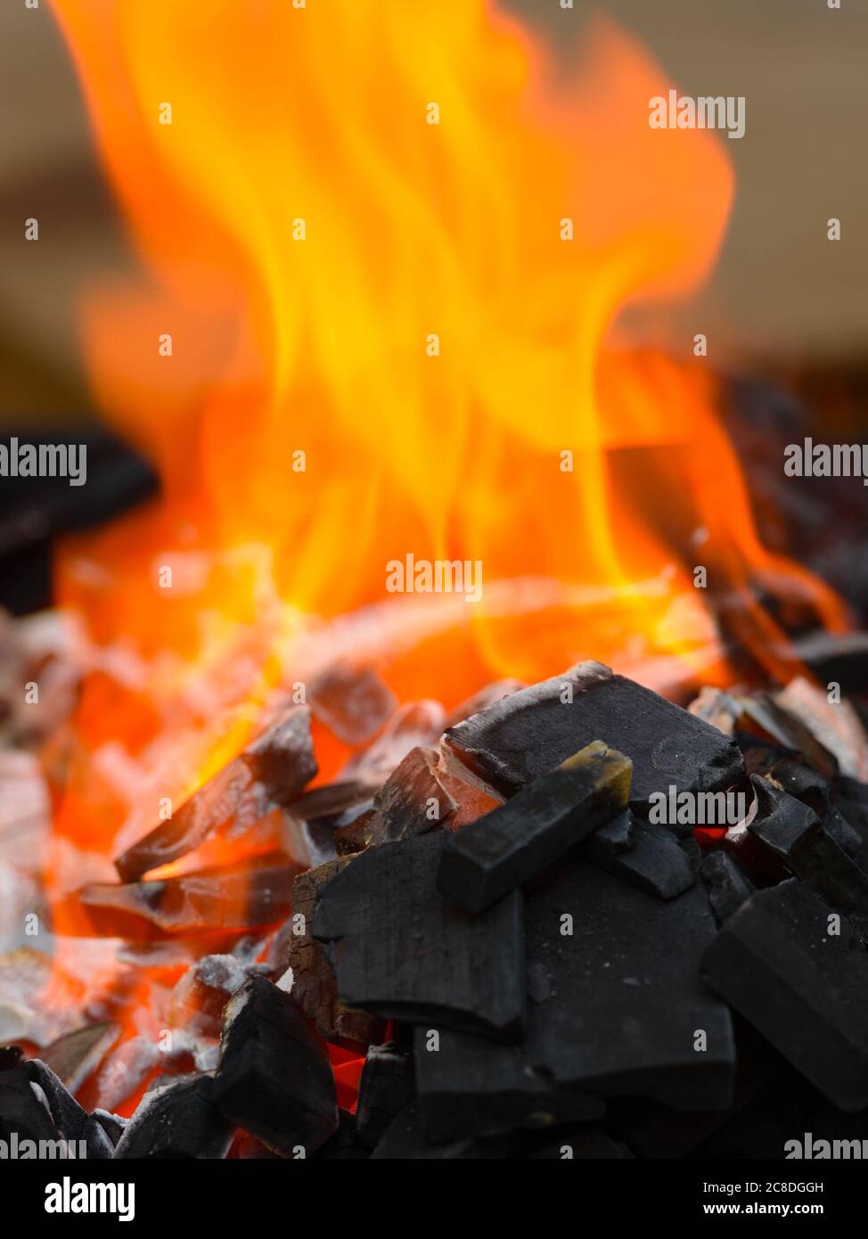 Portrait von Kohlen mit Feuer zum Grillen und Grillen brennen Stockfoto