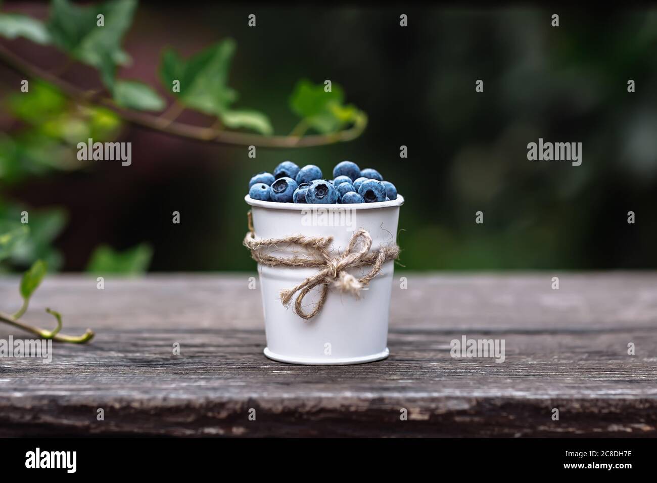 Einige Heidelbeeren in einem dekorieren kleinen Eimer auf Holzbanch im Garten am Sommeruntergang, gesunde Ernährung Konzept Stockfoto