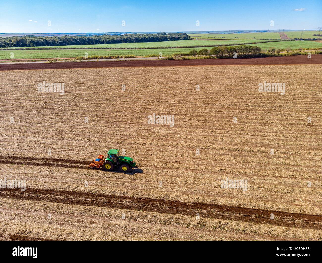 Düngeland, wo Zuckerrohr gepflanzt wurde Luftbild. Stockfoto