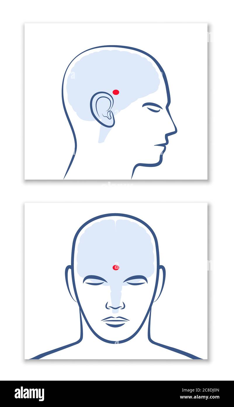 ZIRBELDRÜSE ODER DRITTES AUGE. Laterale und frontale Ansicht mit Position im menschlichen Gehirn - grafische Darstellung auf weißem Hintergrund. Stockfoto