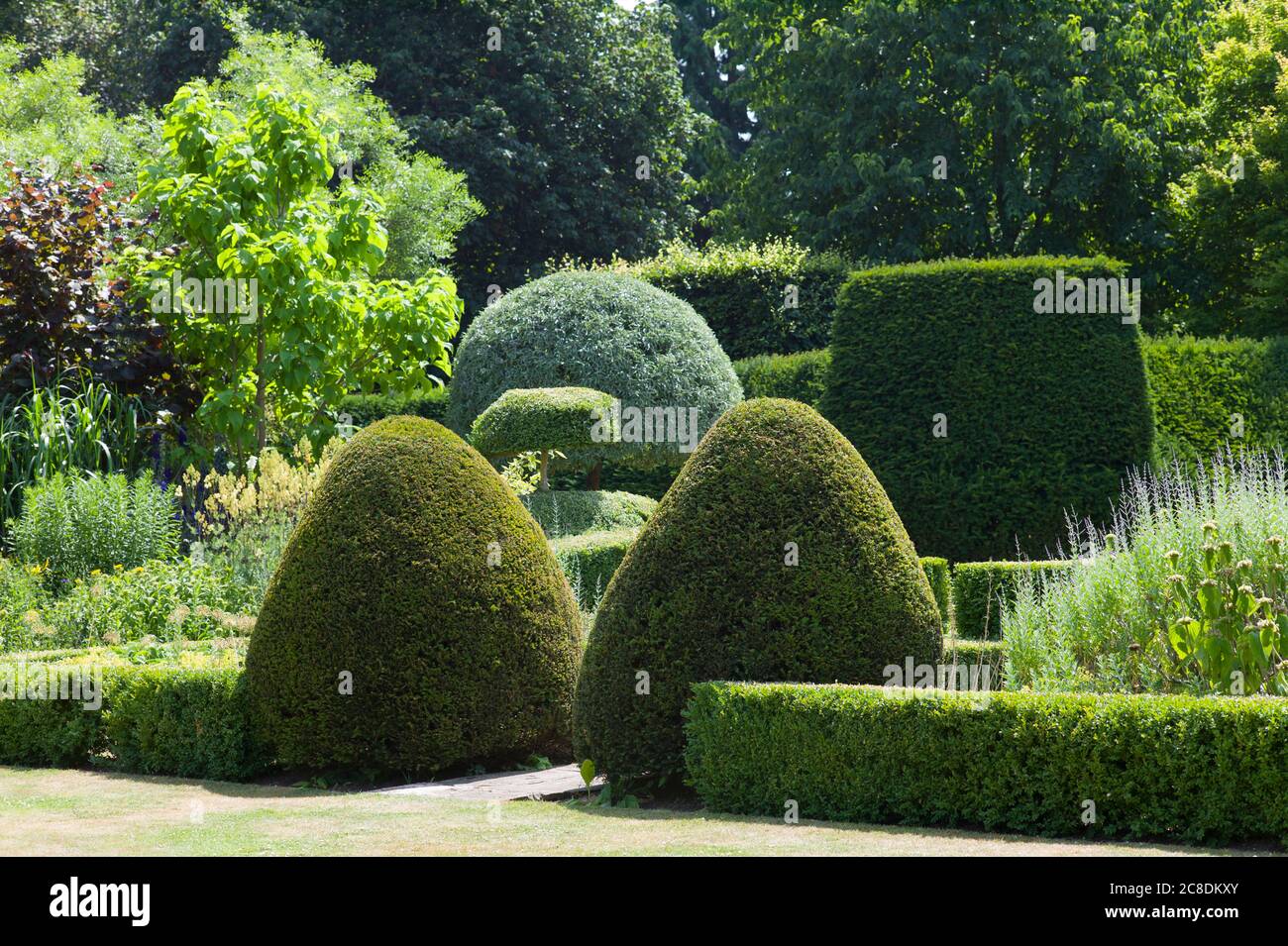 Eine Studie in Grüns. Am Rande eines kleinen Arboretums befindet sich dieser formelle Garten mit dem Schwerpunkt auf fein gepflegten Eibentopiarie und einem weinenden Birnenbaum. Stockfoto