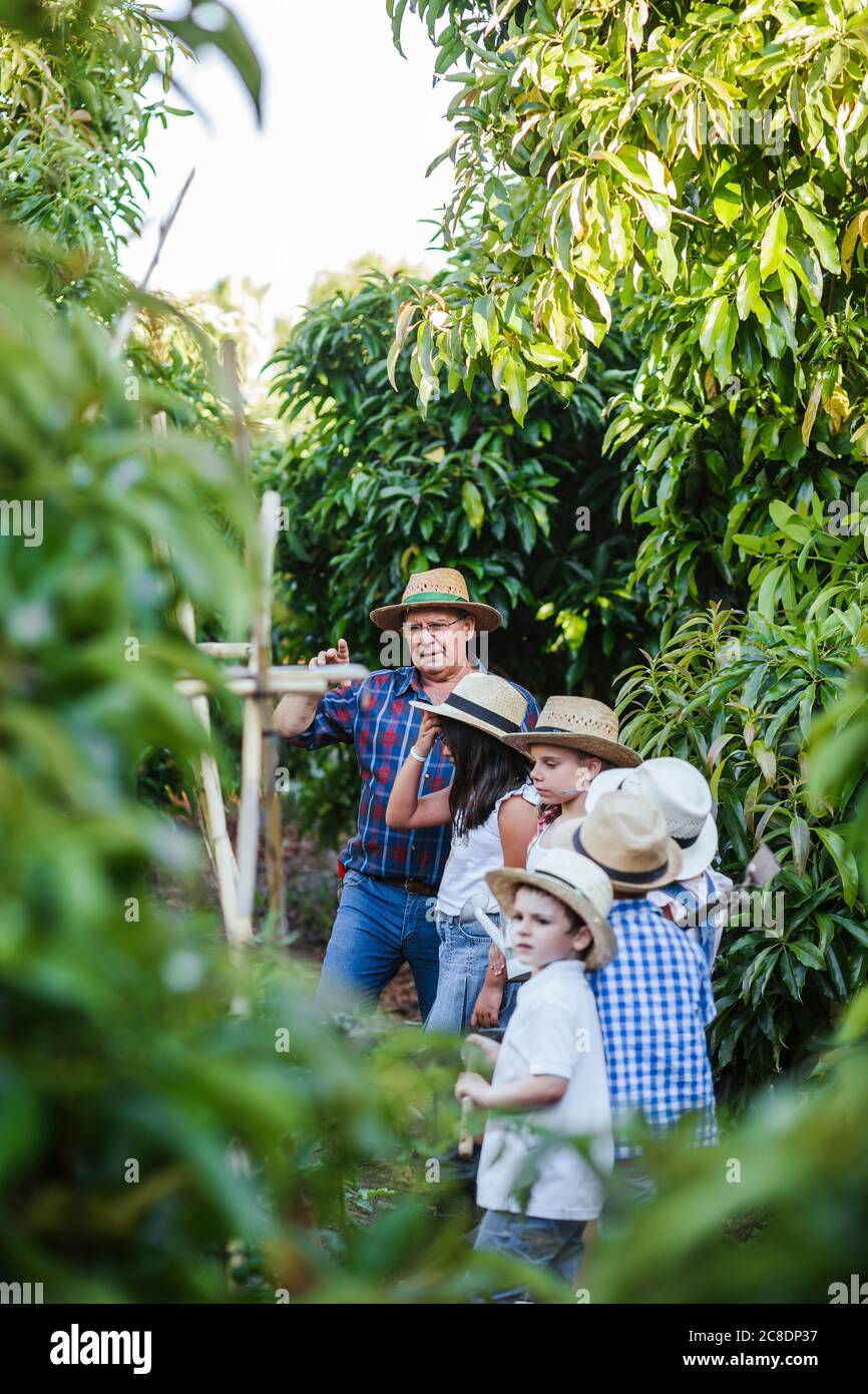 Grandfahter mit Gruppe von Kindern im Garten Stockfoto