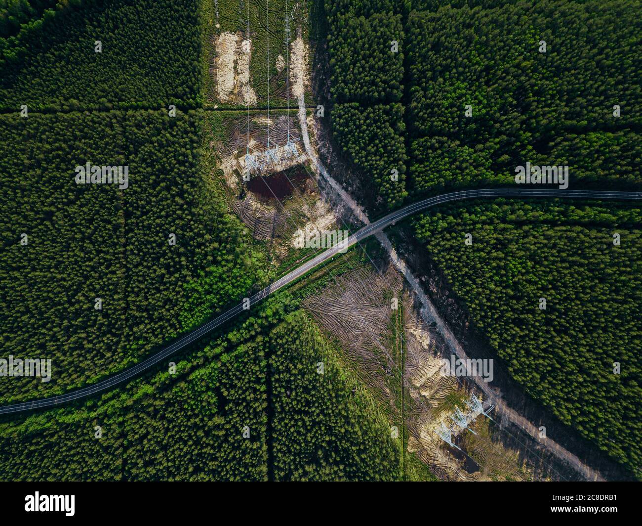 Russland, Leningrad Oblast, Tichwin, Luftaufnahme der Strommasten in der Mitte des entwaldeten Gebietes Stockfoto
