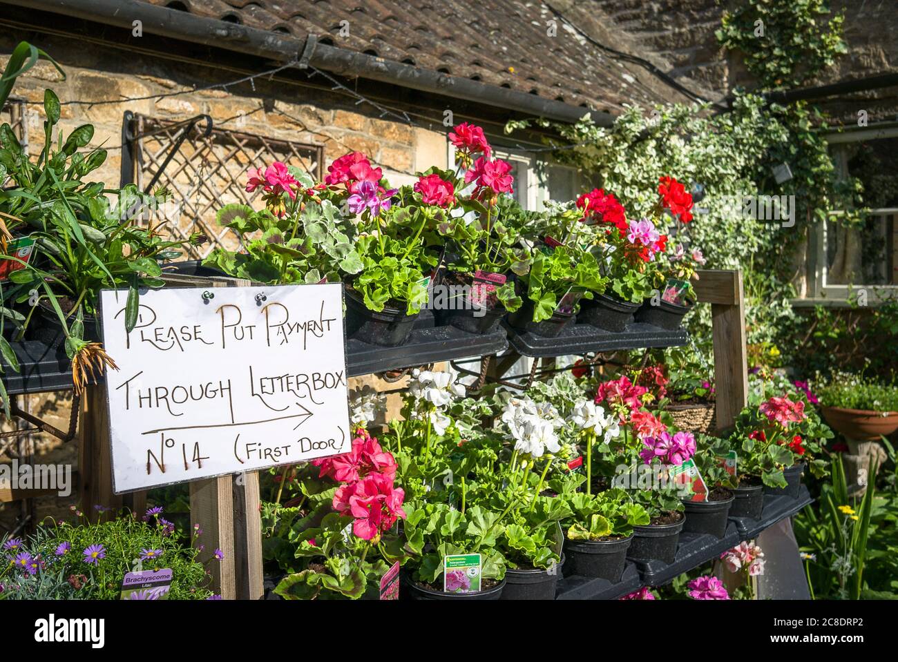 PIN Geld für einen Lacock cottager Verkauf Topfpflanzen außerhalb seiner Wohnung. Beachten Sie das Vertrauen in Kunden, die Zahlungen über seinen Briefkasten buchen. Stockfoto