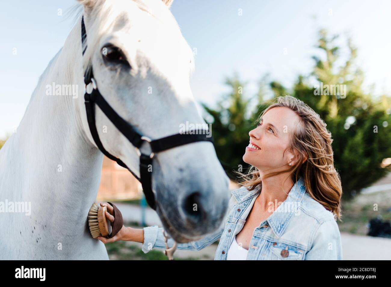 Lächelnde Frau putzen ein Pferd auf einem Bauernhof Stockfoto