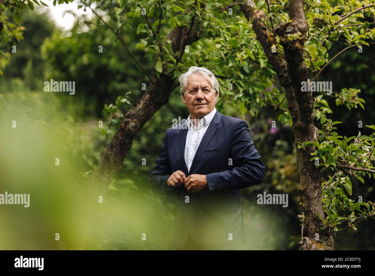 Selbstbewusster Geschäftsmann, der an einem Baum in einem ländlichen Raum steht Garten Stockfoto