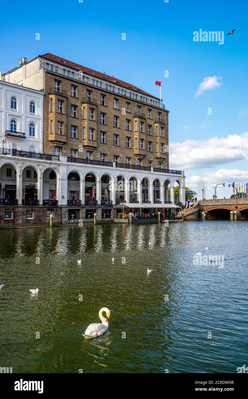 Deutschland, Hamburg, Vogelschwimmen in Alster mit Alsterarkaden im Hintergrund Stockfoto